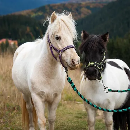 Tulanie 62 Kamzik 2 Izbovy Mezonet Deluxe Parkovanie V Podzemnej Garazi Zdarma ドノヴァリ